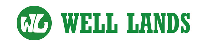 CHANGZHOU WELLLANDS TECHNOLOGY CO.,LTD. logo