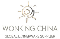 HENAN WONKING CHINA I/E CO LTD logo