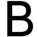 NINGBO BORINE ELECTRIC APPLIANCE CO., LTD. logo