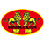 HUNAN DOUBLE LION RUBBER PRODUCTS CO. LTD logo