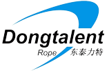 LINYI DONGTALENT PLASTICS CO., LTD. logo