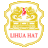 DINGXING LONGXING HAT MAKING CO LTD logo