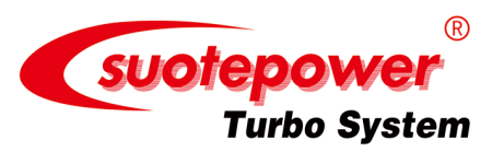Jiangsu Suote Power Engineering Co., Ltd logo